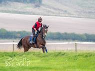 AK021025-45 - Believitanducan